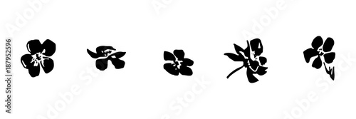 Set of hand drawn brush paint cherry blossoms. Sakura flowers painted by ink. Black isolated vector image.