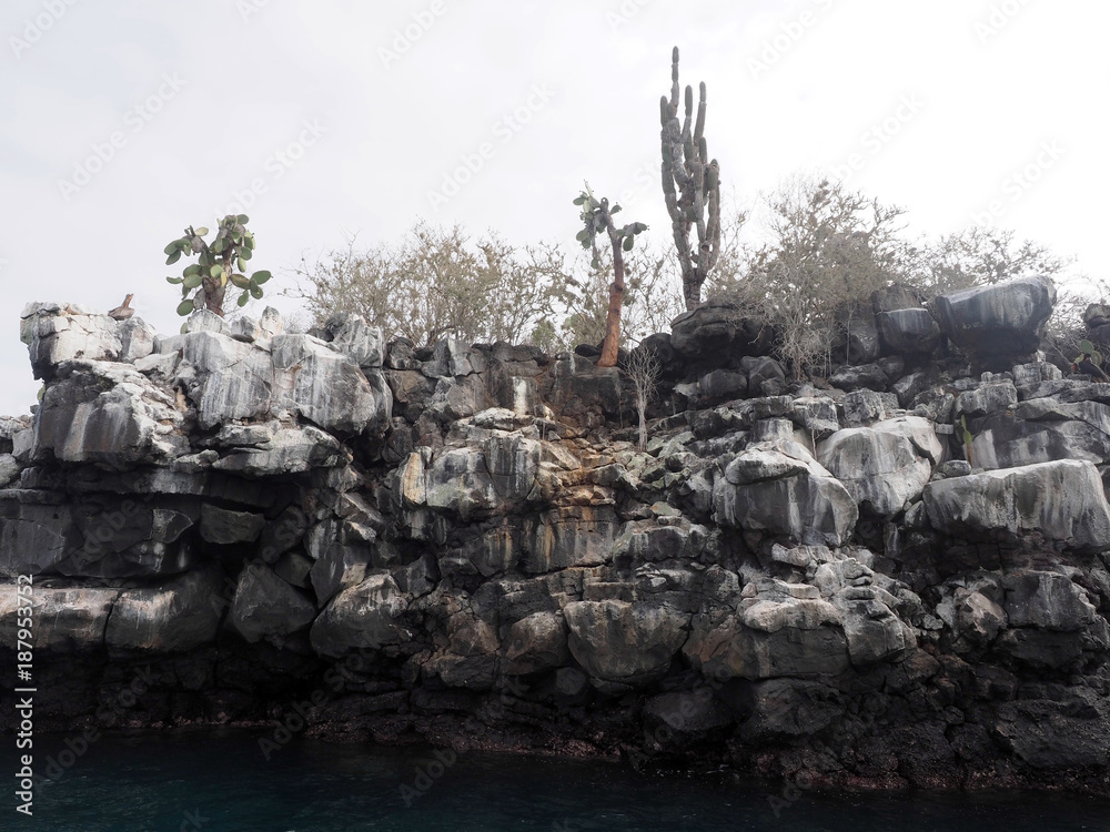 gloomy rocks on the coast of the island, North Seymour, Galapagos, Ecuador
