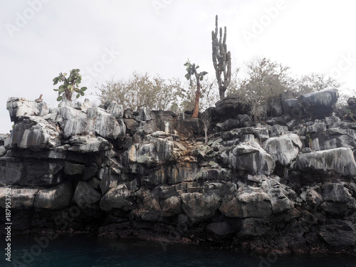 gloomy rocks on the coast of the island, North Seymour, Galapagos, Ecuador