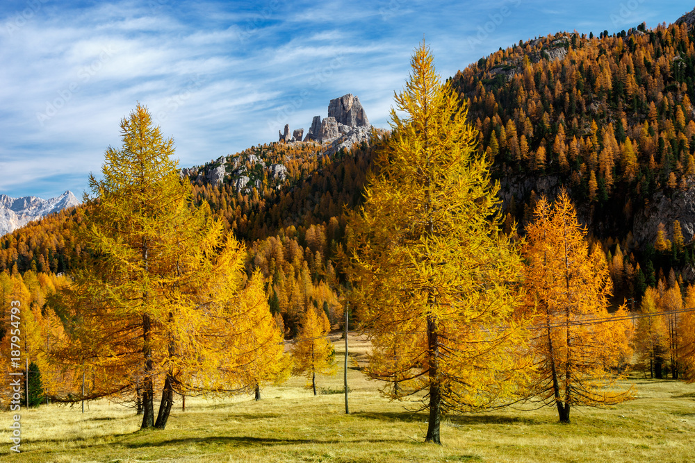ienne, kolorowe drzewa na łące pod Monte Averau i Cinque Torri