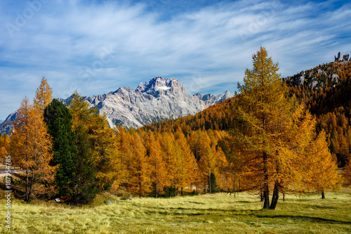 ienne, kolorowe drzewa na łące ze szczytami Dolomitów