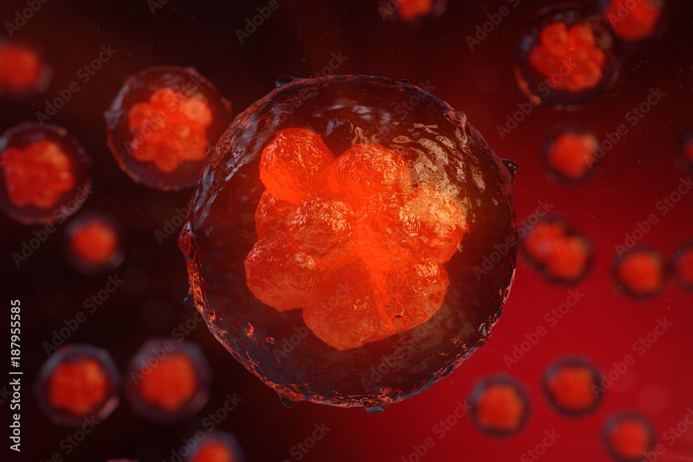 © rost9 - 3D illustration Early stage embryo, Stem cell research, Morula. Human or animal cells. Medicine scientific concept