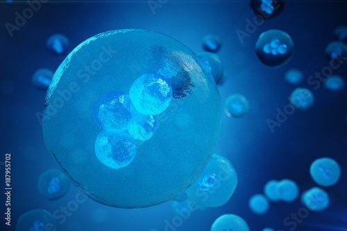 Human or animal cells on blue background. Concept Early stage embryo Medicine scientific concept, Stem cell research and treatment. 3D illustration.