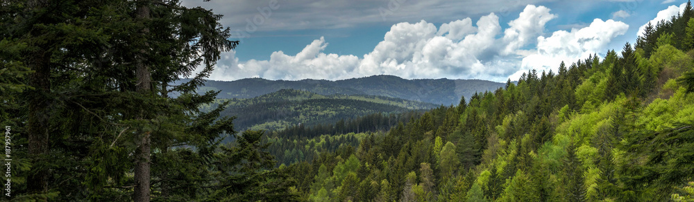 Blick über den Schwarzwald bei St. Blasien