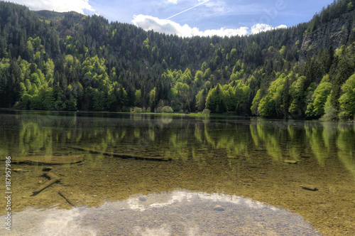 Das glasklare Wasser des Feldsees photo