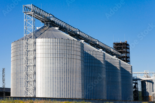 four silver silos in a wheat field