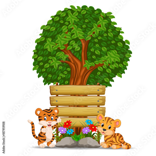 Fototapeta Naklejka Na Ścianę i Meble -  two tiger in front of an empty wooden signboard