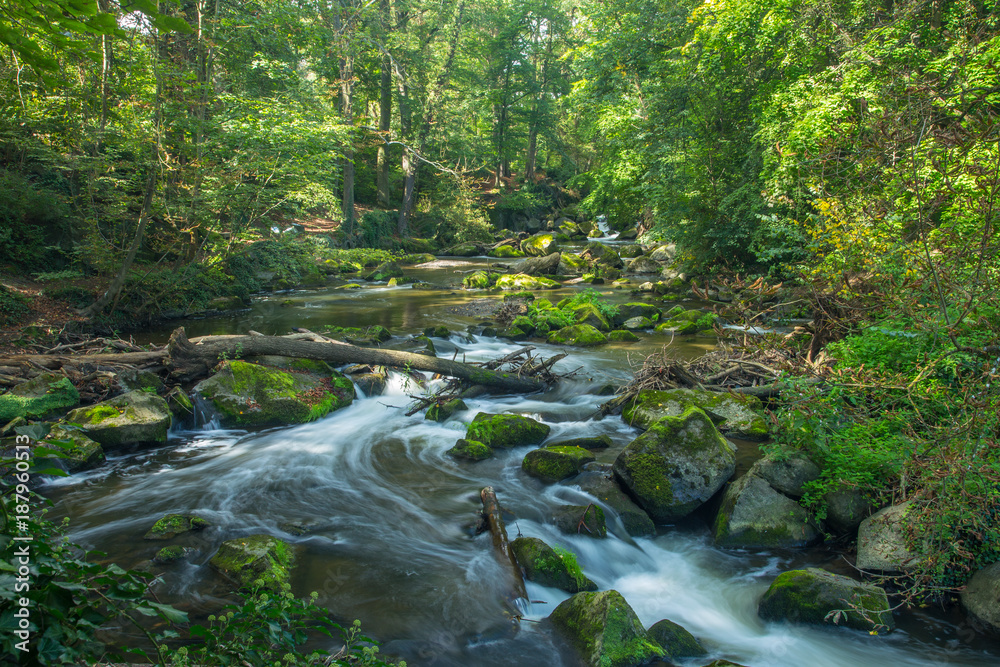 Fototapeta premium Die Nette