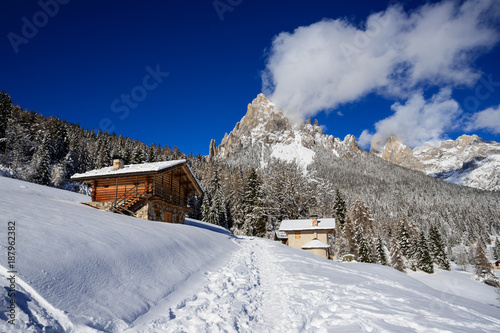 paesaggio invernale a Piereni, in Val Canali, nel parco naturale di Paneveggio - Trentino © Roberto Zocchi