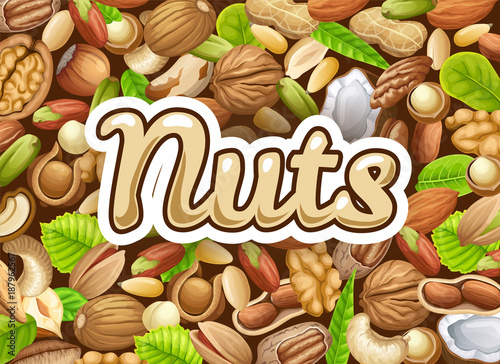 Background of nuts. Food grains of cashew and brazilian nut, coconut and cedar, hazelnut and cashew, almonds and walnut, nutmeg and pecan, peanut and macadamia, pistachio.