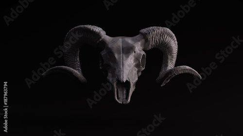 Fotografia Grey Sculpted Ram Skull