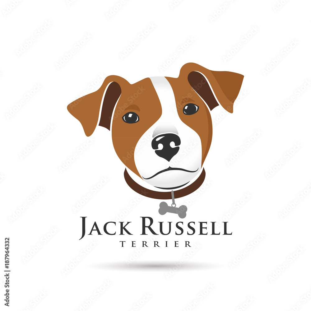 Jack Russell Terrier Head - obrazy, fototapety, plakaty 
