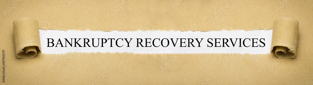 Bankruptcy Recovery Services