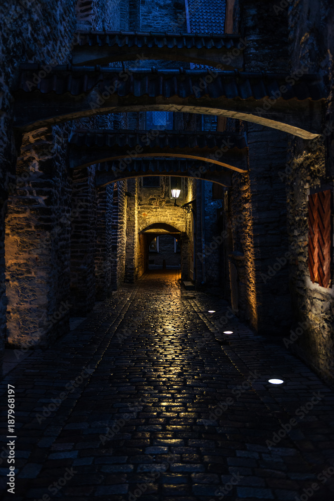 St. Catherine's Passage at night in Tallinn