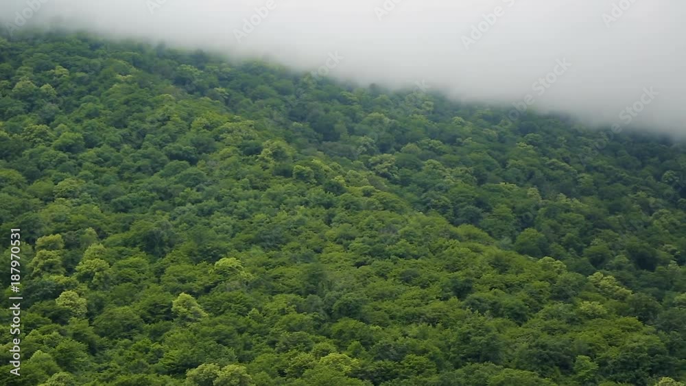 Soft clouds enveloping huge green hills saturating environment with oxygen Soft clouds enveloping huge green hills saturating environment with oxygen
