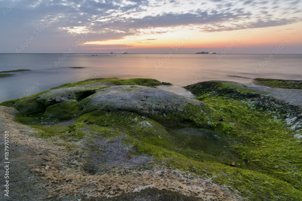 Rocks with seaweeds as sunrise against a vibrant yellow and orange cloudy sky