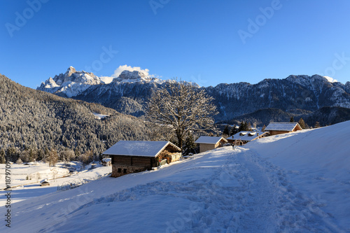 paesaggio invernale a Piereni, in Val Canali, nel parco naturale di Paneveggio - Trentino