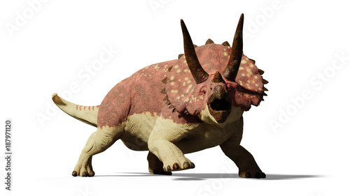 Triceratops horridus dinosaur (3d render isolated with shadow on white background) © dottedyeti