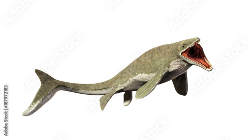 Liopleurodon, extinct giant aquatic lizard (3d illustration isolated on white background) photo