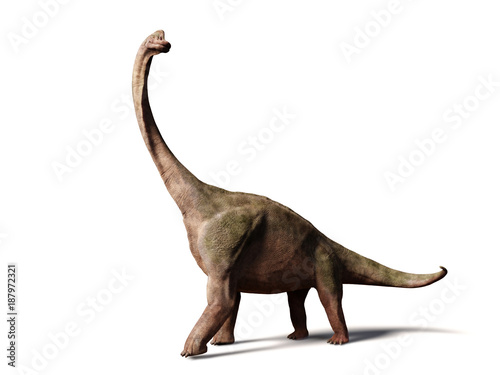 Photo Brachiosaurus altithorax from the Late Jurassic (3d illustration isolated on whi