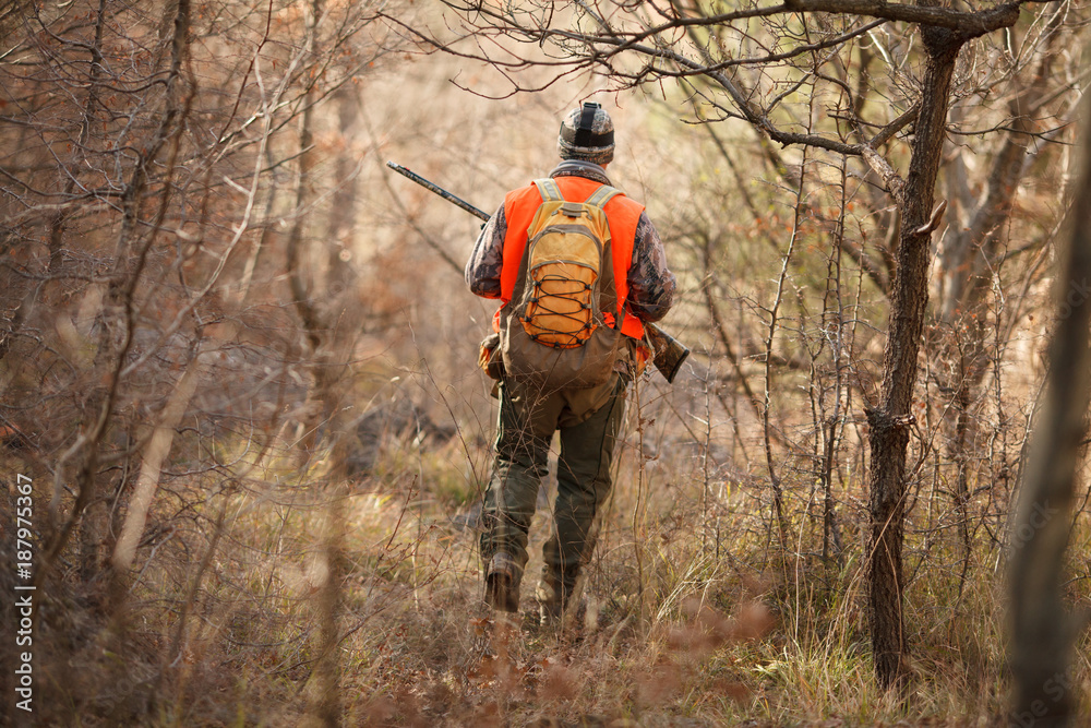 hunters with dogs hunting a bird woodcock