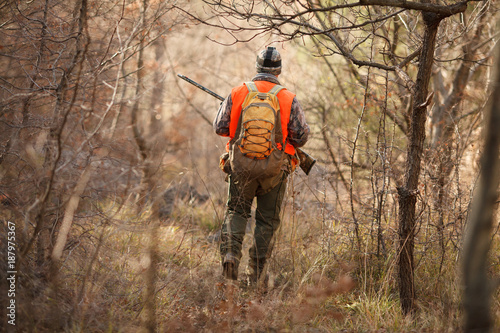 Obraz na płótnie hunters with dogs hunting a bird woodcock