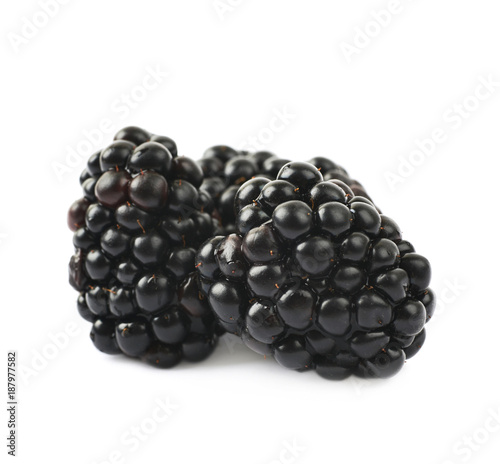 Couple of blackberries isolated