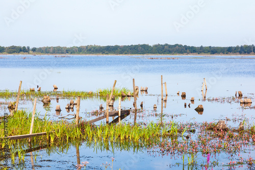 Fence that goes into the water at the lake with flowers and grass