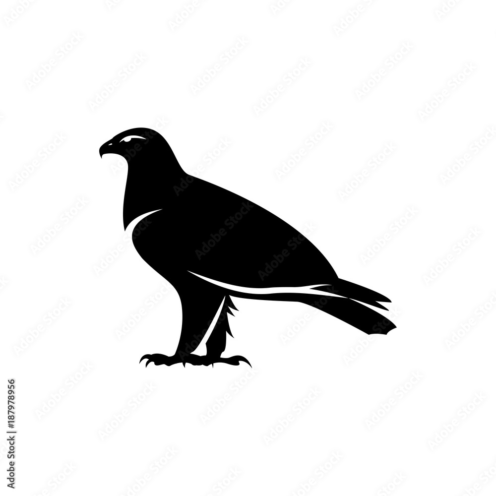 Obraz premium eagle vector silhouette
