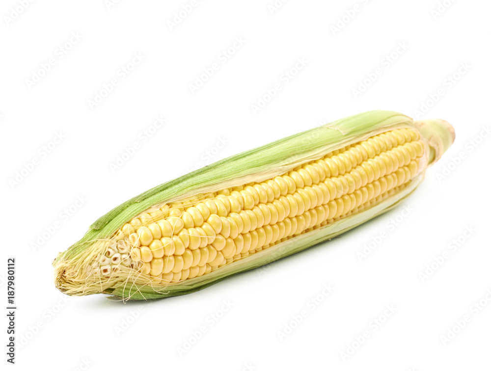 Ear of corn corncob isolated Ear of corn corncob isolated