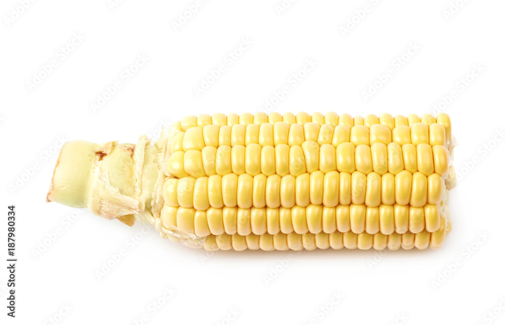 Ear of corn corncob isolated Ear of corn corncob isolated