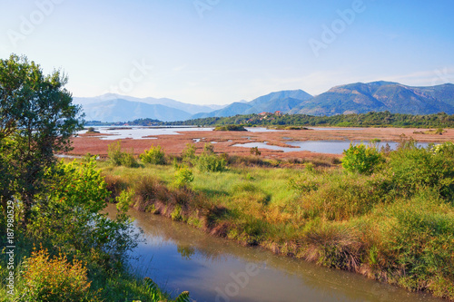 Salt marsh . View of special nature reserve Solila - swamp area of the coastal part of the Bay of Kotor (Adriatic Sea). Tivat, Montenegro