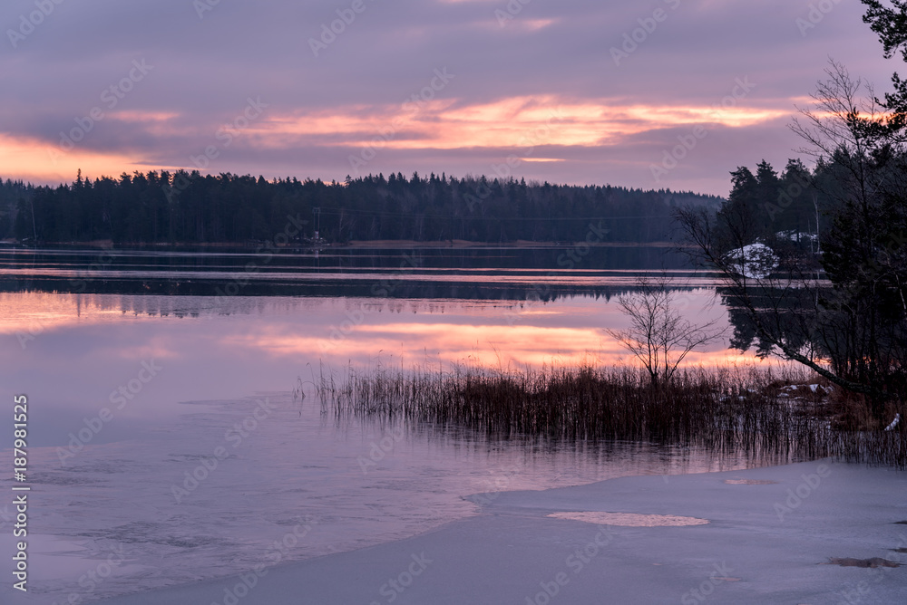 Obraz premium Frozen Morning