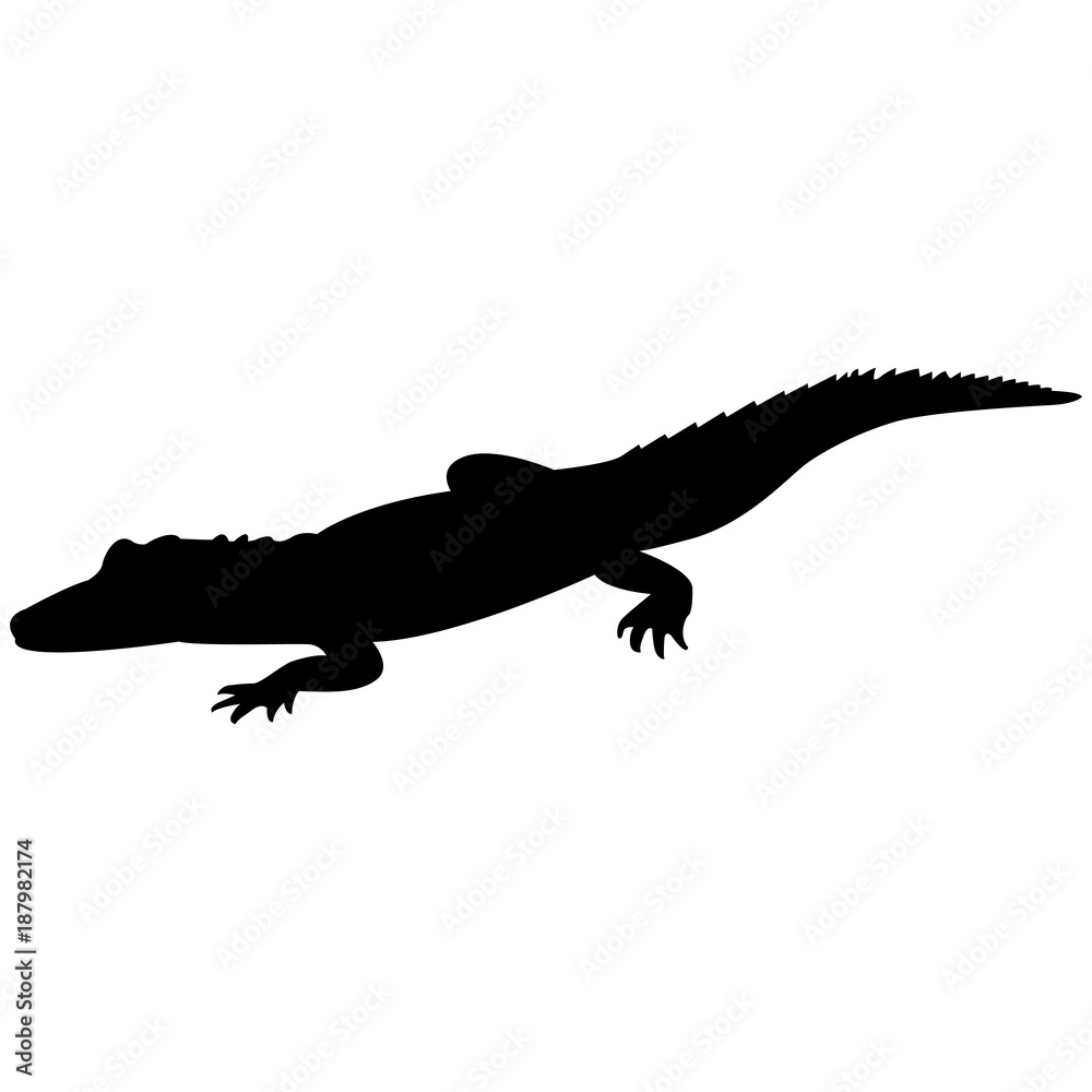 Vector image of a crocodile silhouette on a white background
