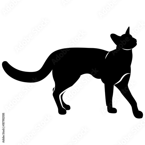 Vector image of a silhouette of a cat on a white background