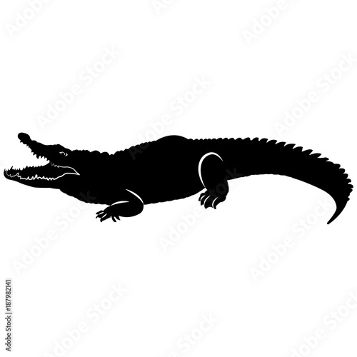 Vector image of a crocodile silhouette with an open mouth on a white background