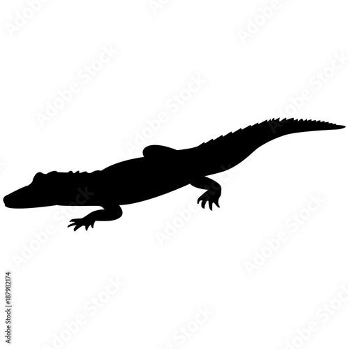 Vector image of a crocodile silhouette on a white background