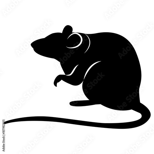 Vector image of a silhouette of a rat on a white background