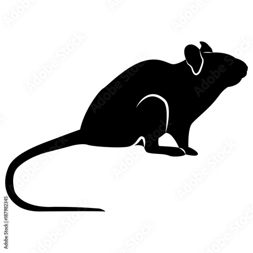 Vector image of a silhouette of a rat on a white background