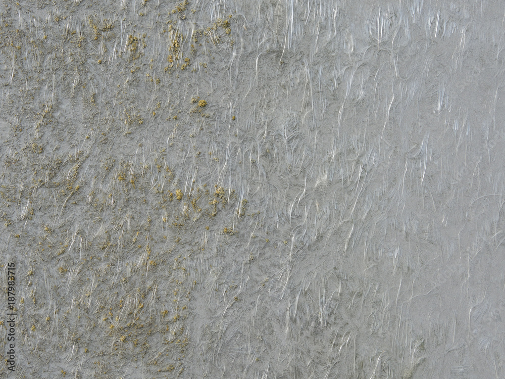 Textur grau Flechte Textur grau Flechte