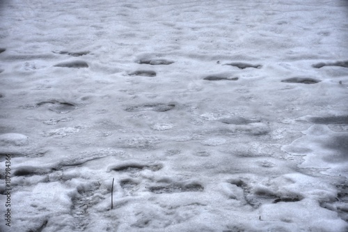 Schnee, Eis, vereist, Spur, Winter, Schritt, Schritte, Schneedecke, Eisdecke, Spur, Gulli, Straße, Wiese, gefroren, kalt, rutschig, glatt, ausrutschen, Gefahr, zugefroren photo