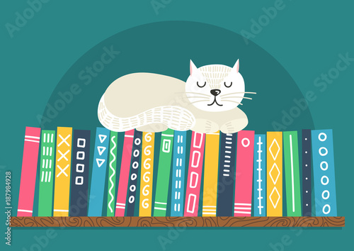 Books on shelf with white cat. Difrent color books with ornament on shelf on ...