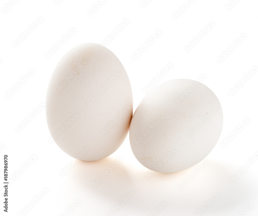 giant size goose eggs on white with clipping path