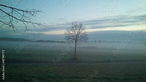 Canvas-taulu nebbia