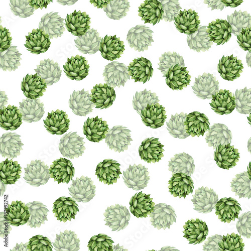 Seamless pattern with fresh green succulent plants on white background. Hand drawn watercolor illustration.