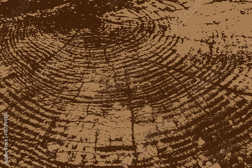 Realistic wood texture - vector pattern - brown, Wood cross section background,