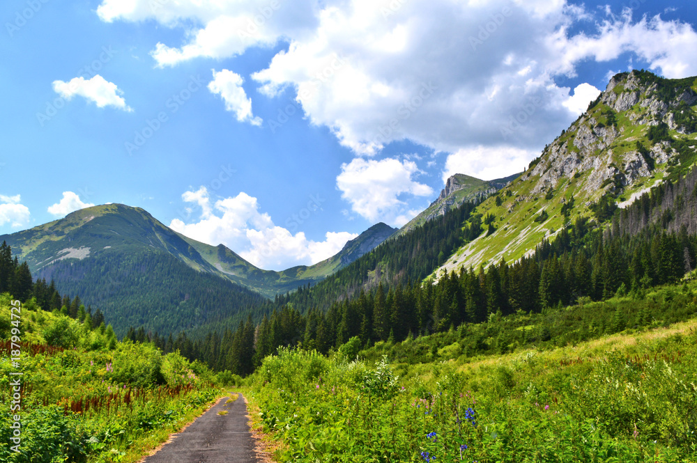Obraz premium Mountains summer landscape with blue sky and clouds, Tatras National Park, Slovakia