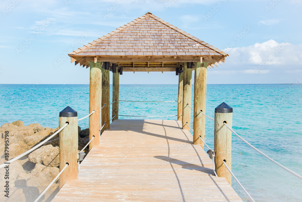 Obraz premium Tropical Island 5