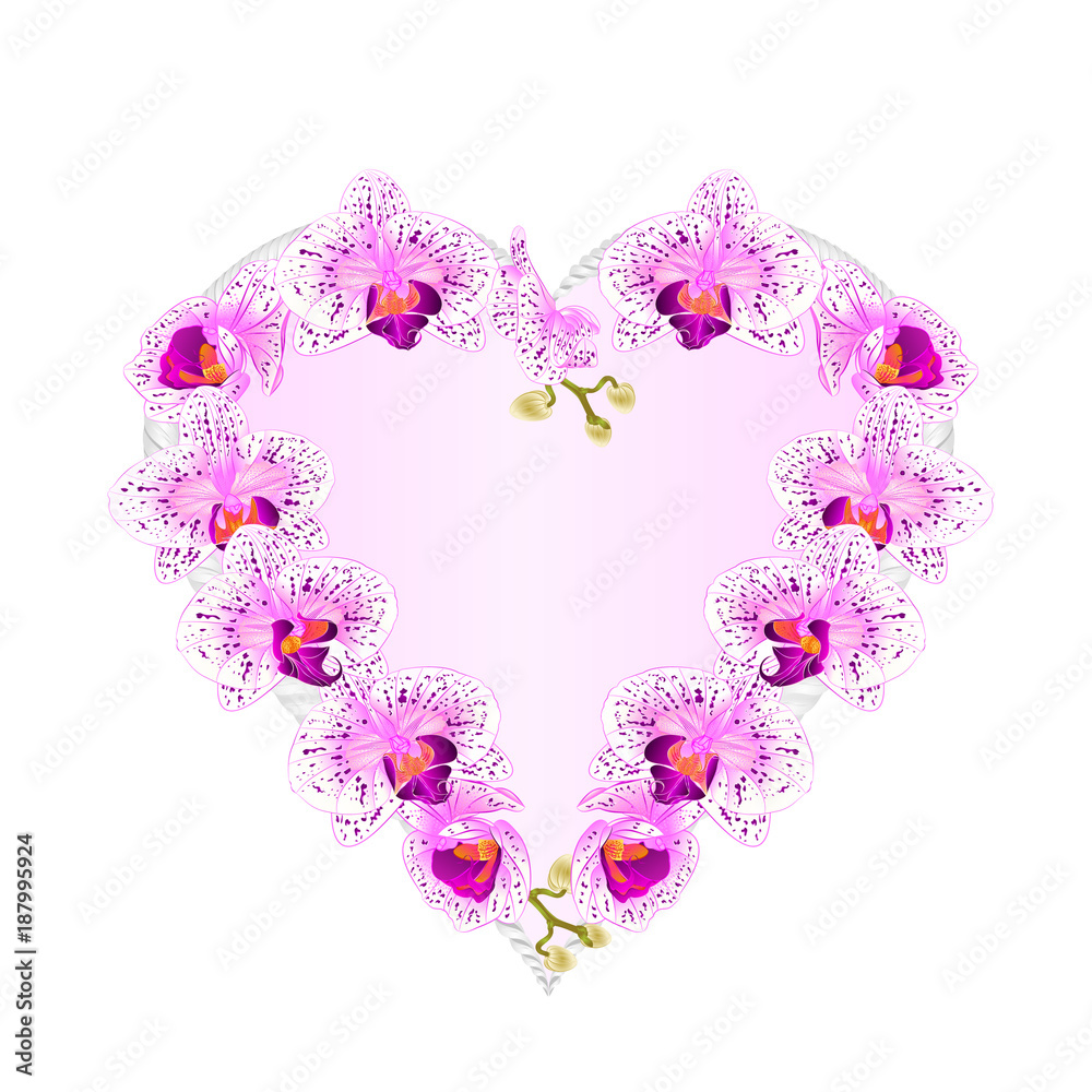Frame Heart shaped orchids Phalaenopsis purple and white  flowers tropical plants  vintage vector botanical illustration for design editable hand draw