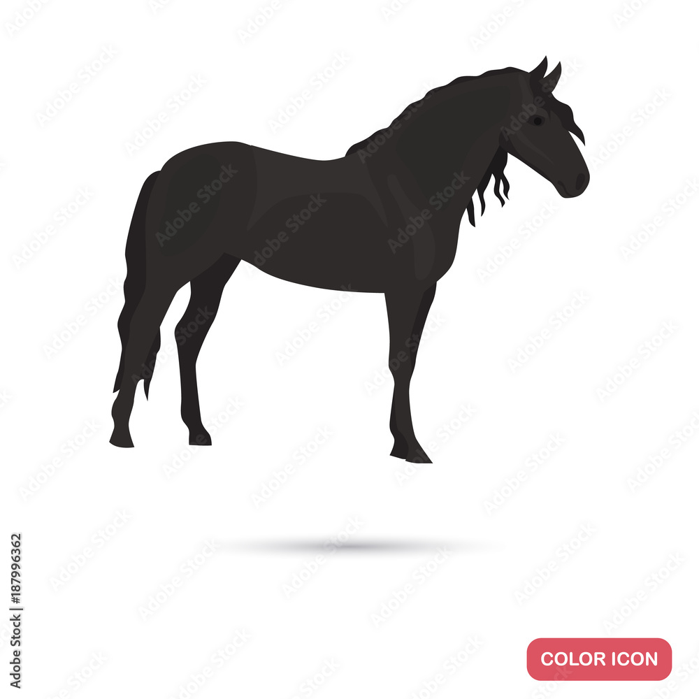 Andalusian horse color flat icon